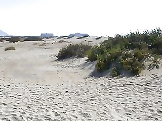 praia estilo cachorrinho Milf público