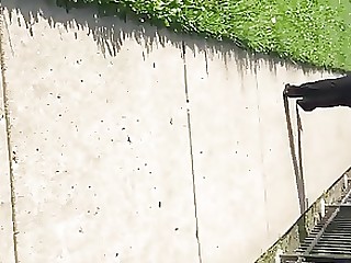 Schwarz Ebenholz Reifen Milf